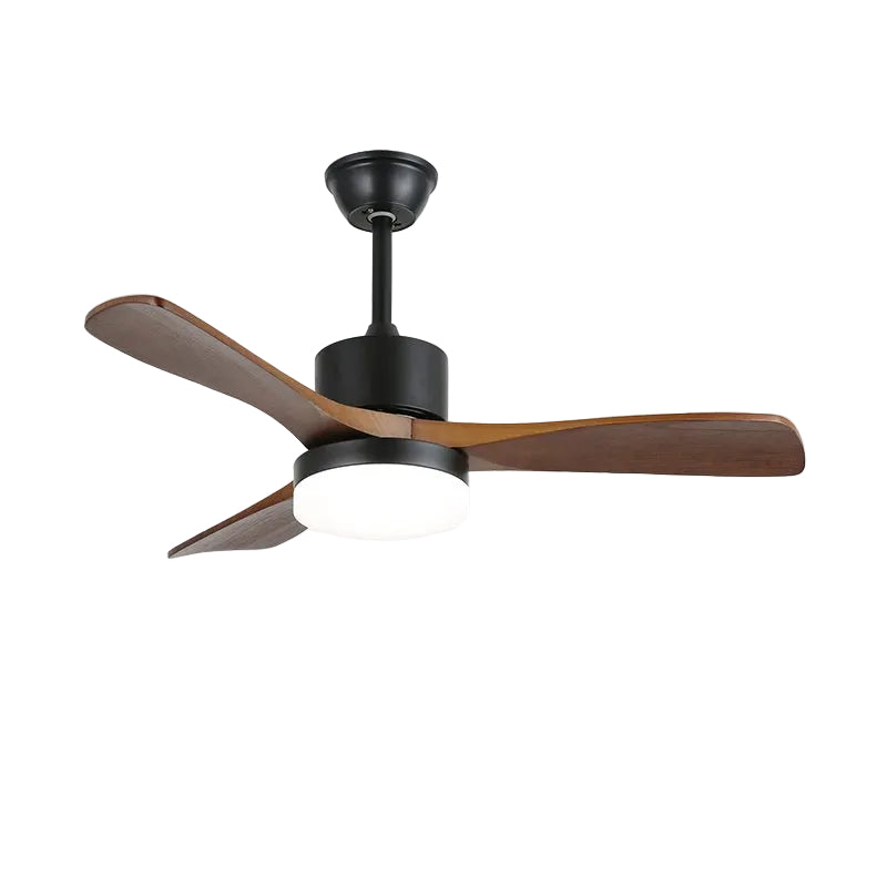Loreeno Ceiling Fan Light