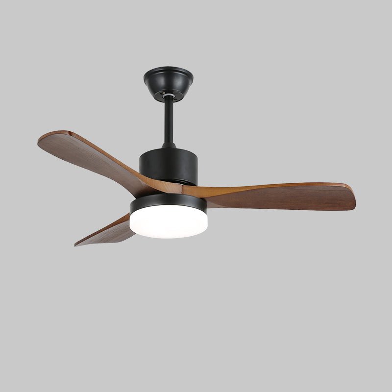 Loreeno Ceiling Fan Light