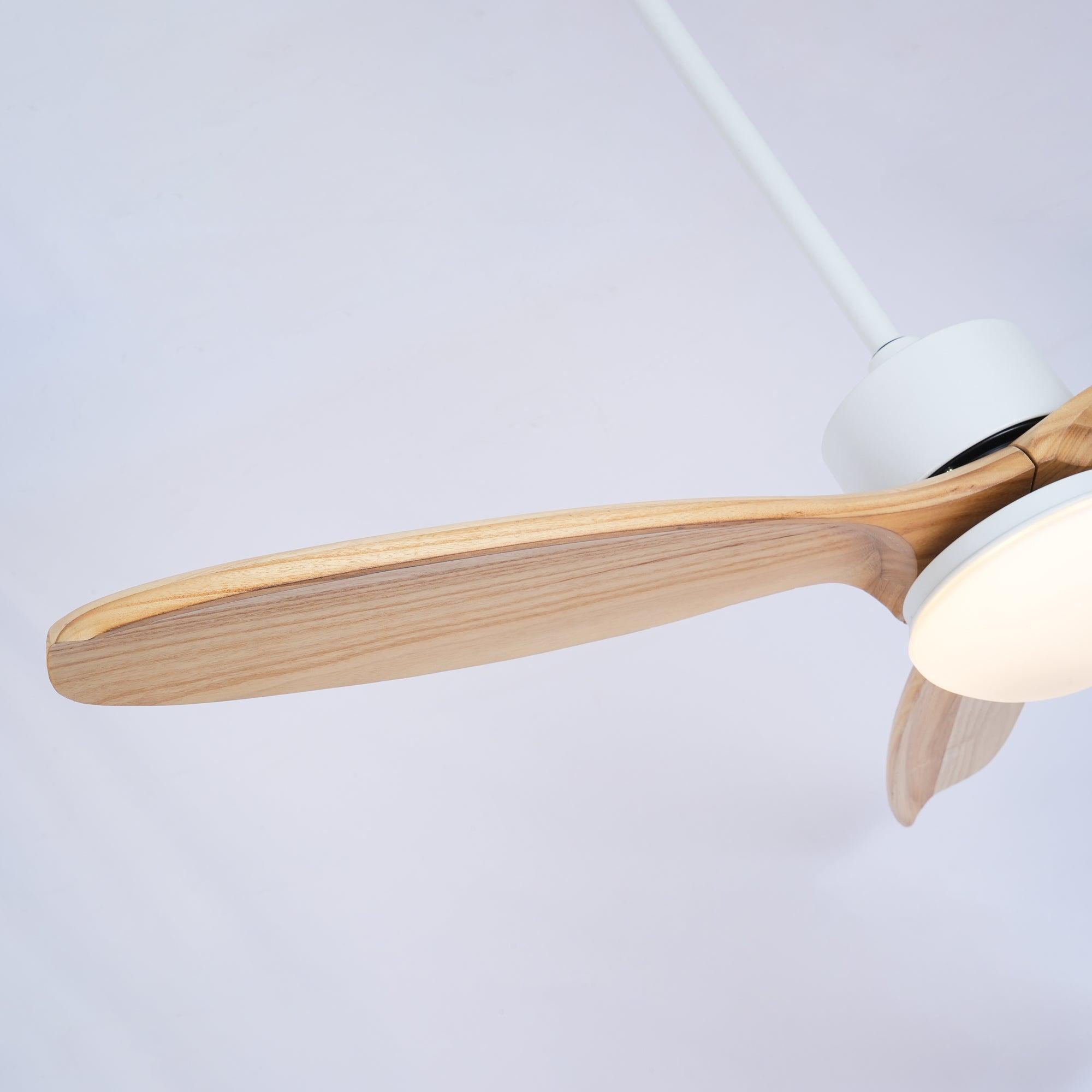 Avolano Outdoor Ceiling Fan Light