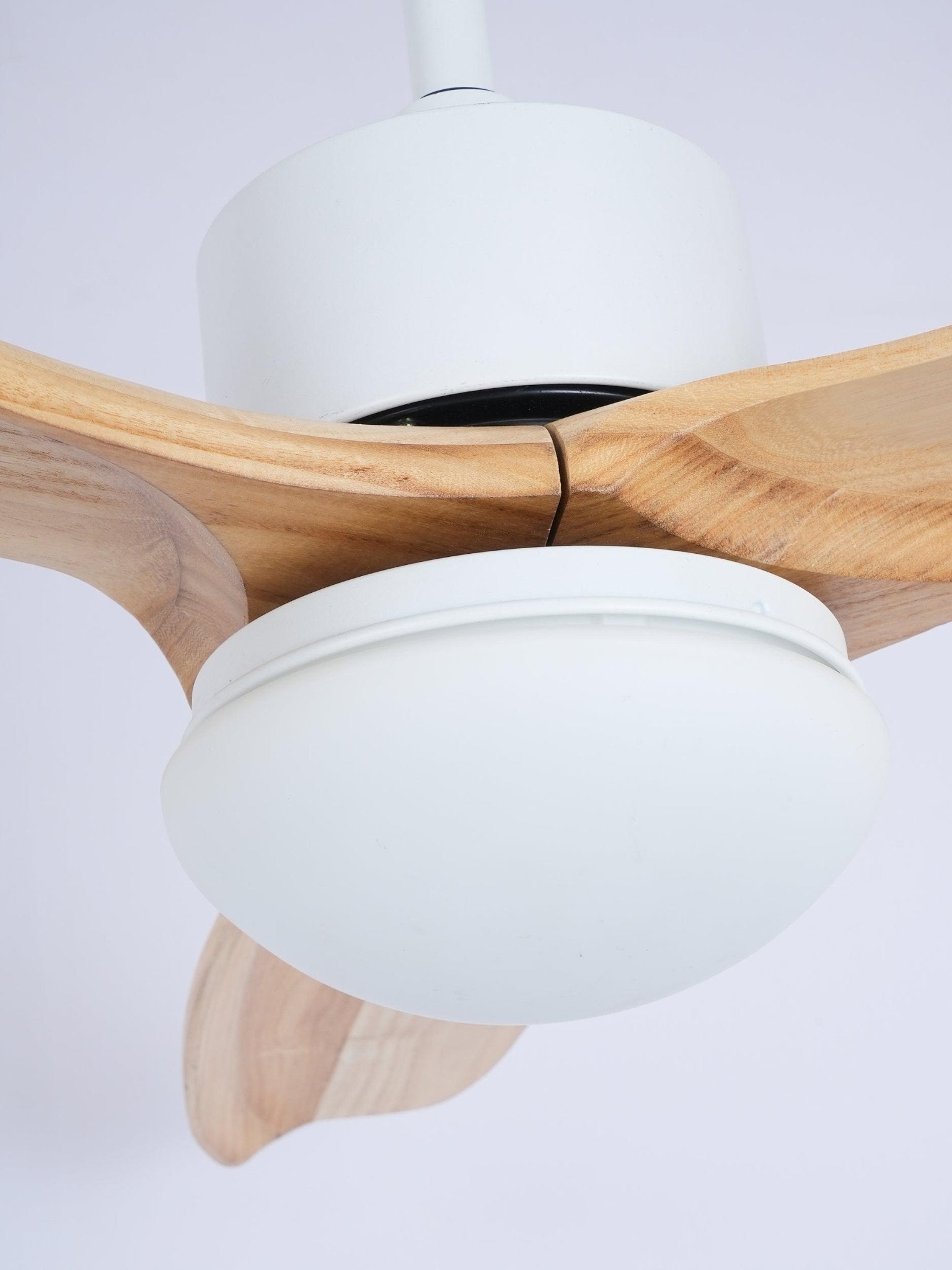 Avolano Outdoor Ceiling Fan Light
