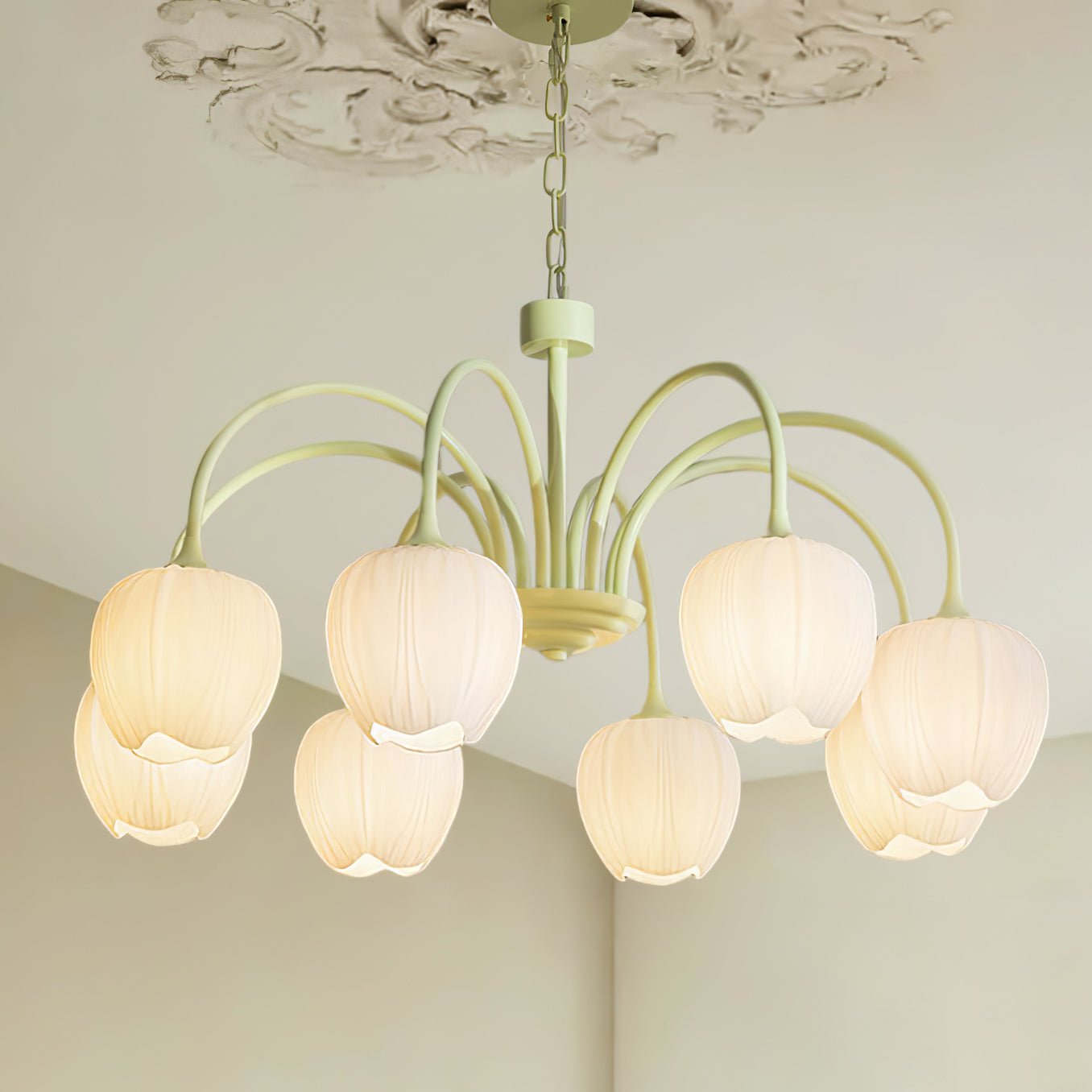 Alevovaor Tulip Chandelier