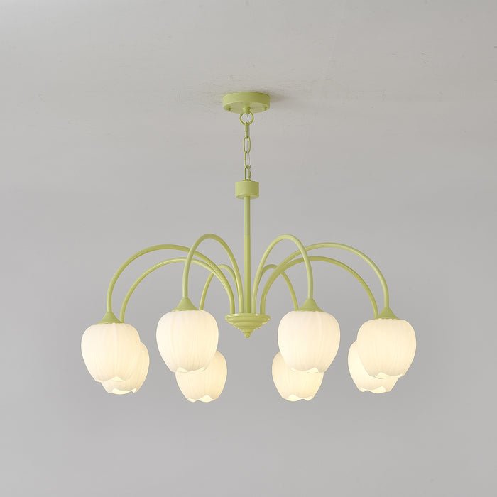 Alevovaor Tulip Chandelier