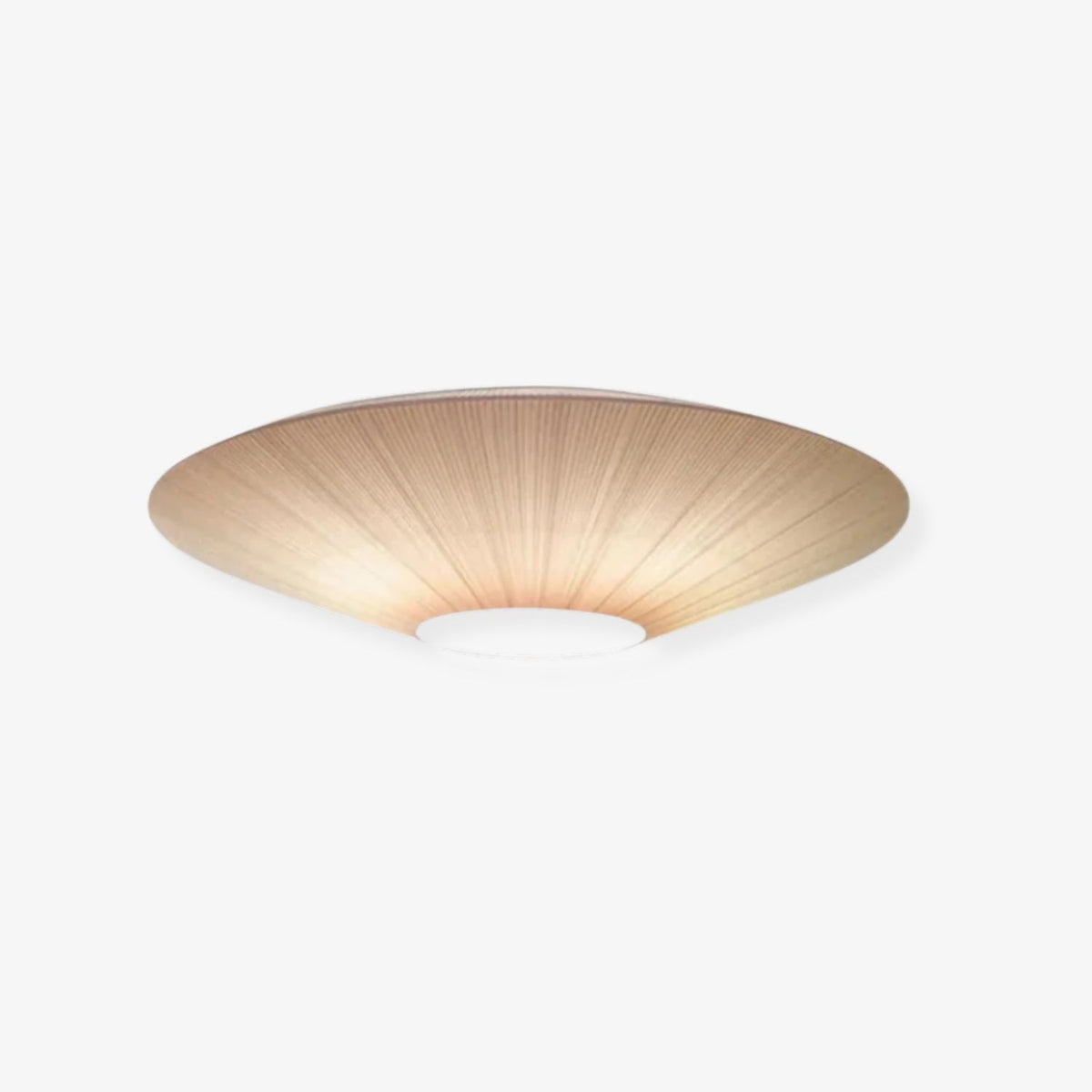 Arenyn Round Ceiling Light