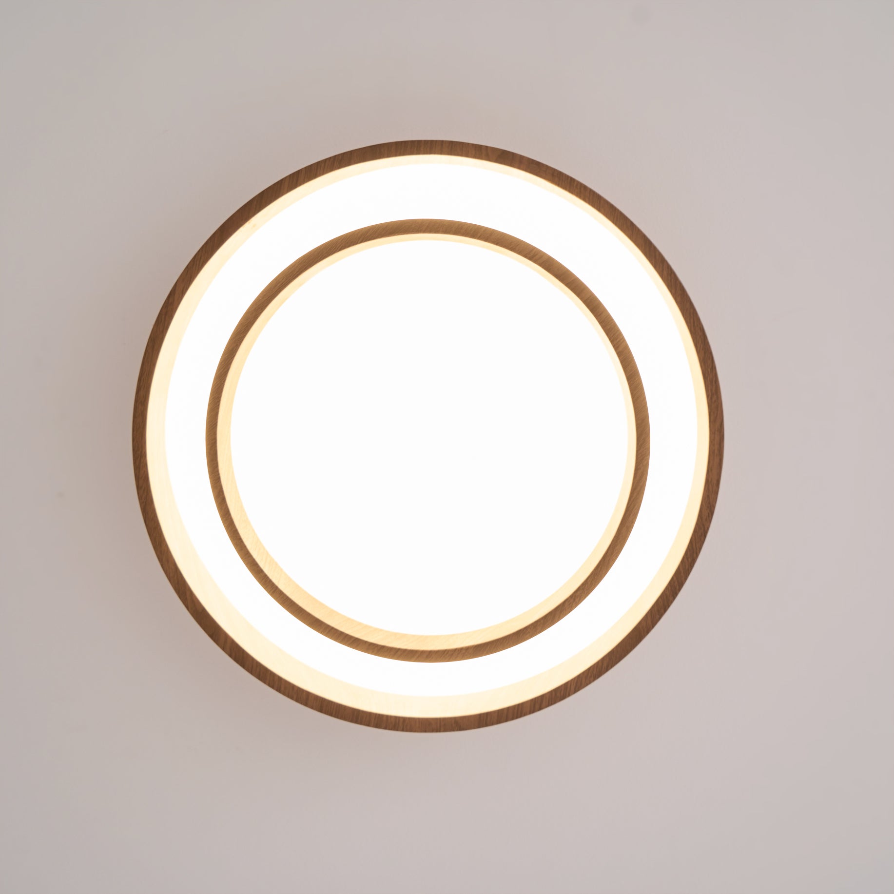 Aviraya Round Ceiling Light