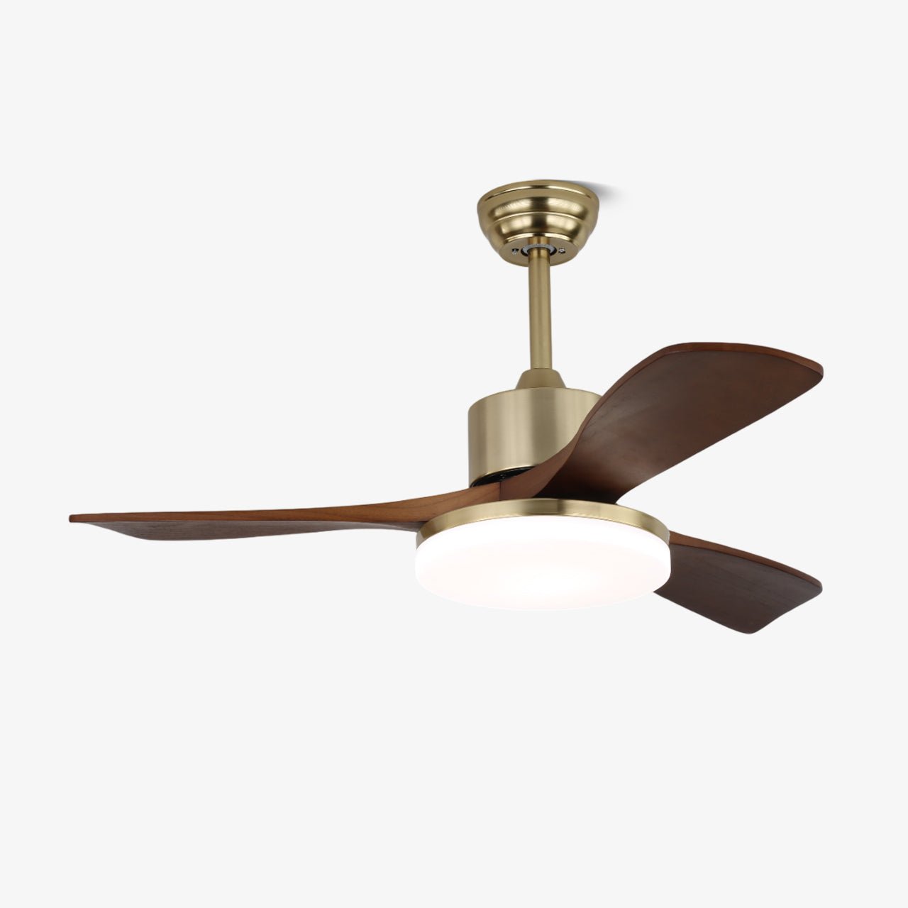 Feroza Ceiling Fan Light