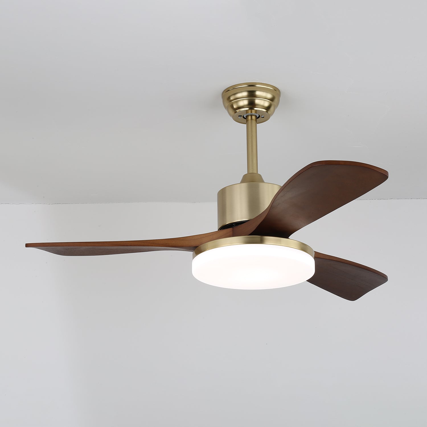 Feroza Ceiling Fan Light
