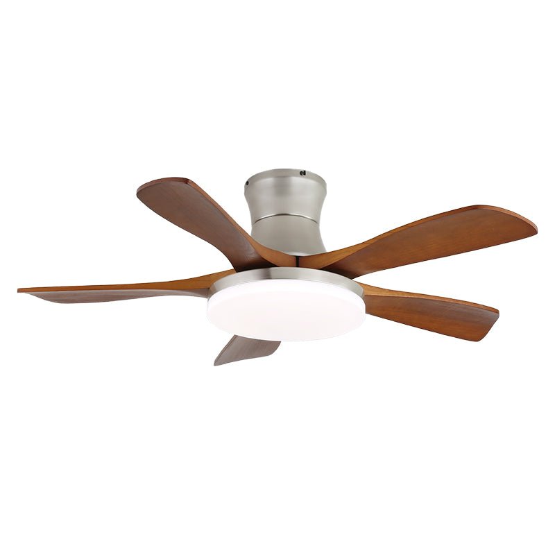 Arellian Ceiling Fan Light