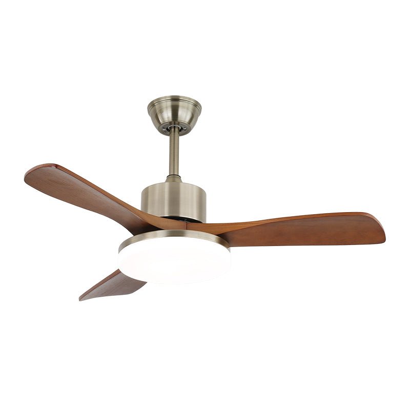 Arellian Ceiling Fan Light
