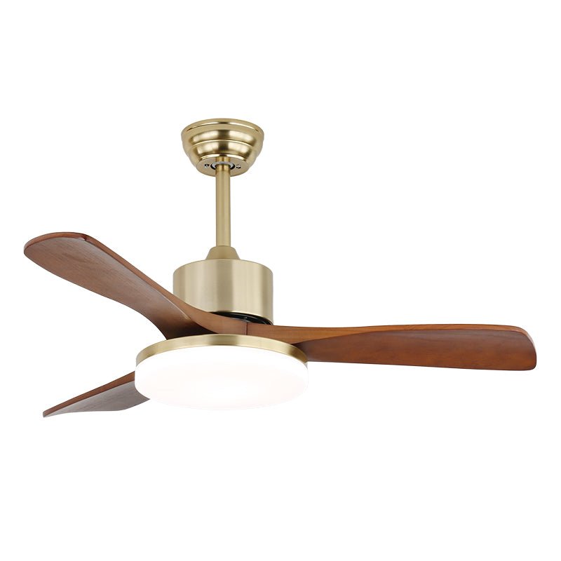 Arellian Ceiling Fan Light
