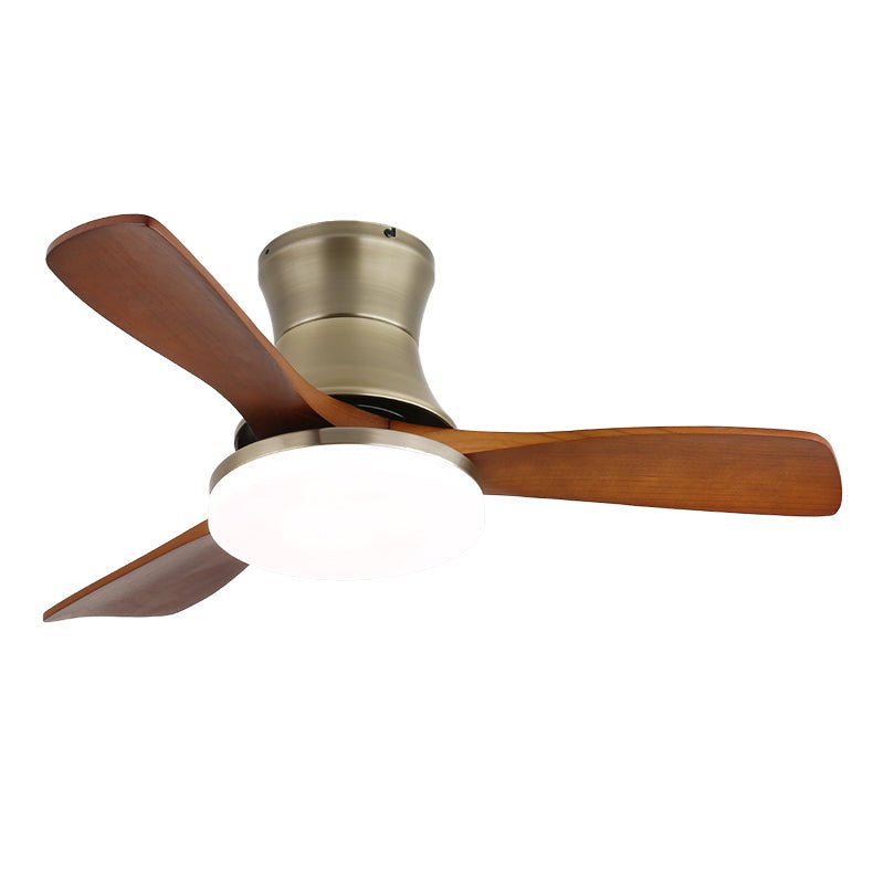 Arellian Ceiling Fan Light