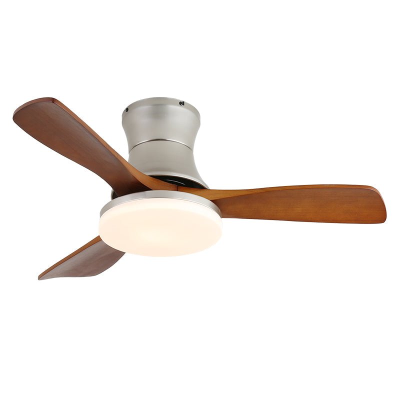 Arellian Ceiling Fan Light