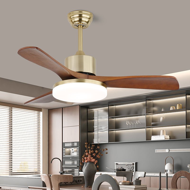 Arellian Ceiling Fan Light