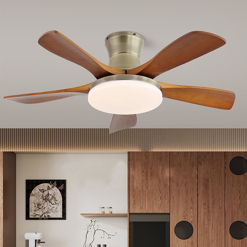 Arellian Ceiling Fan Light