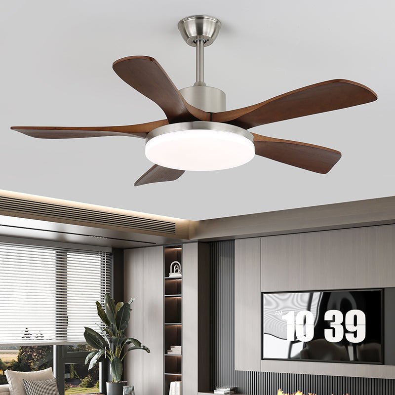 Arellian Ceiling Fan Light
