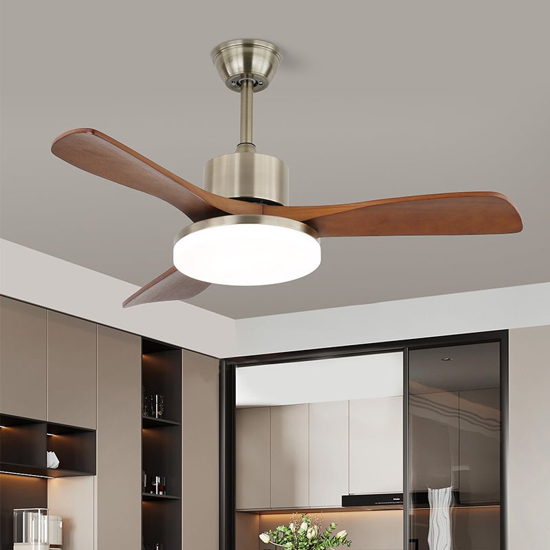 Arellian Ceiling Fan Light