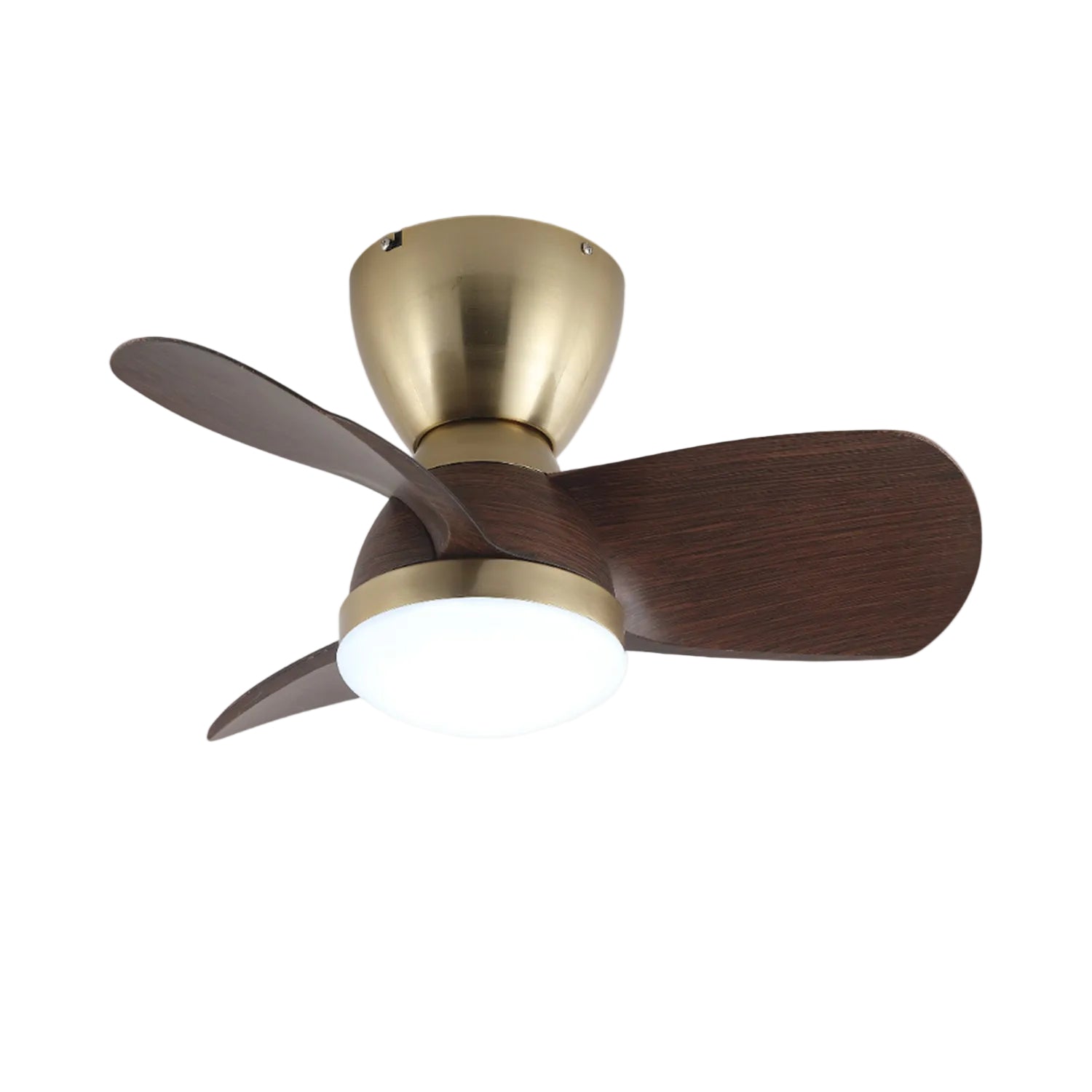 Forelso Ceiling Fan Light