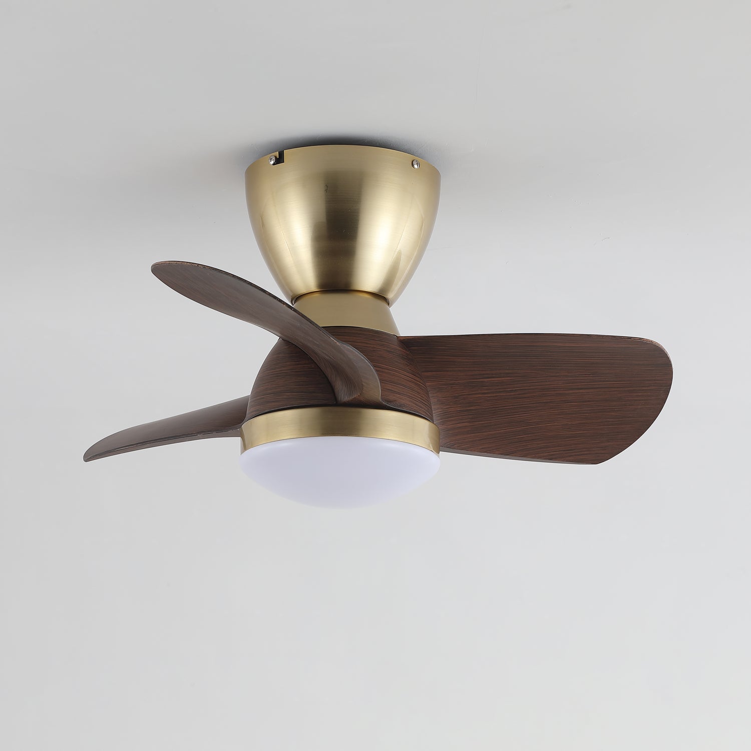 Forelso Ceiling Fan Light