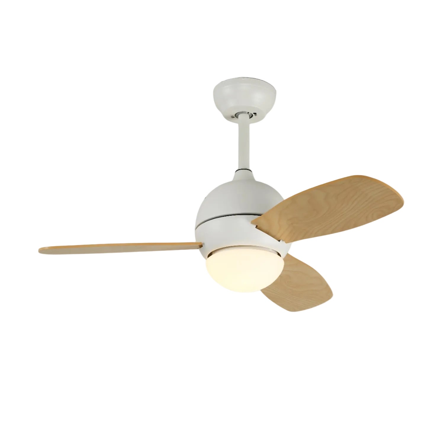 Avelyn Ceiling Fan Light