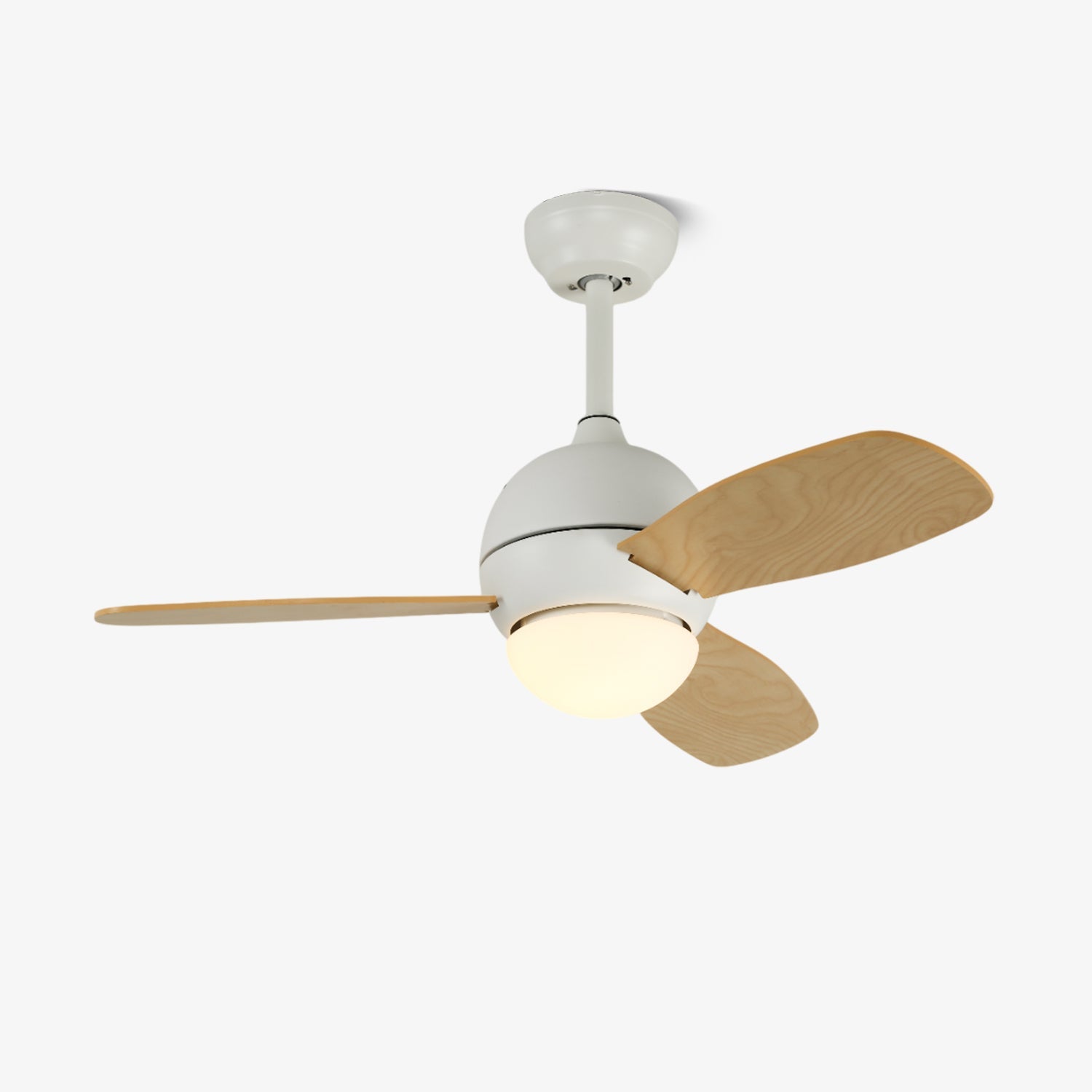 Avelyn Ceiling Fan Light