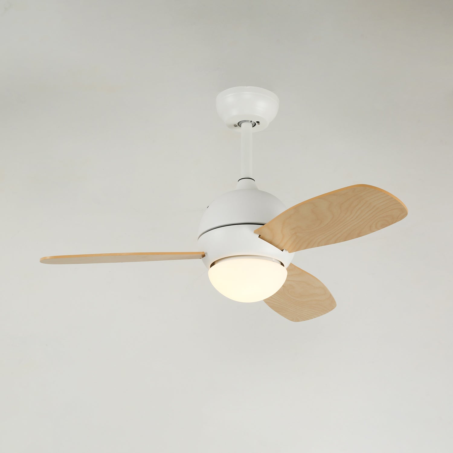 Avelyn Ceiling Fan Light