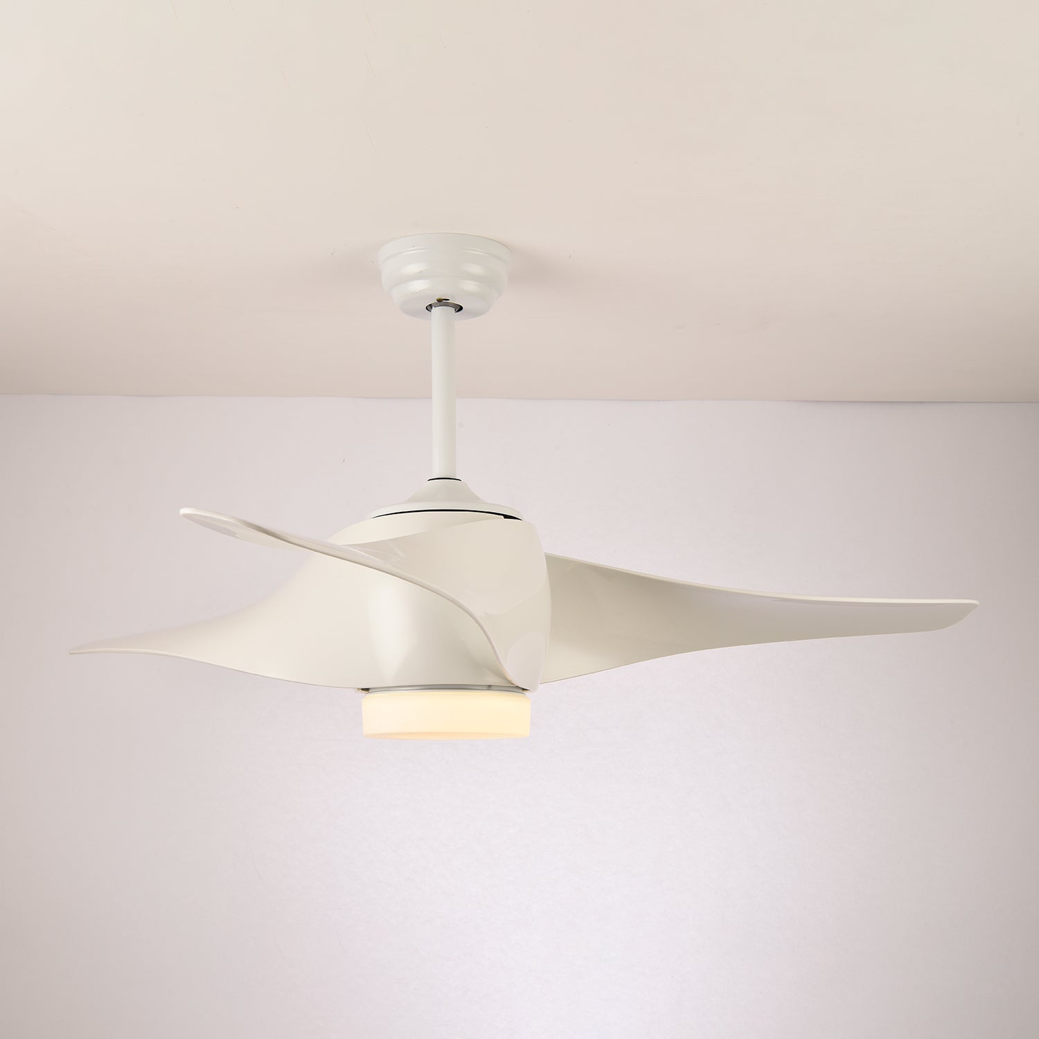 Ziressa Ceiling Fan Light