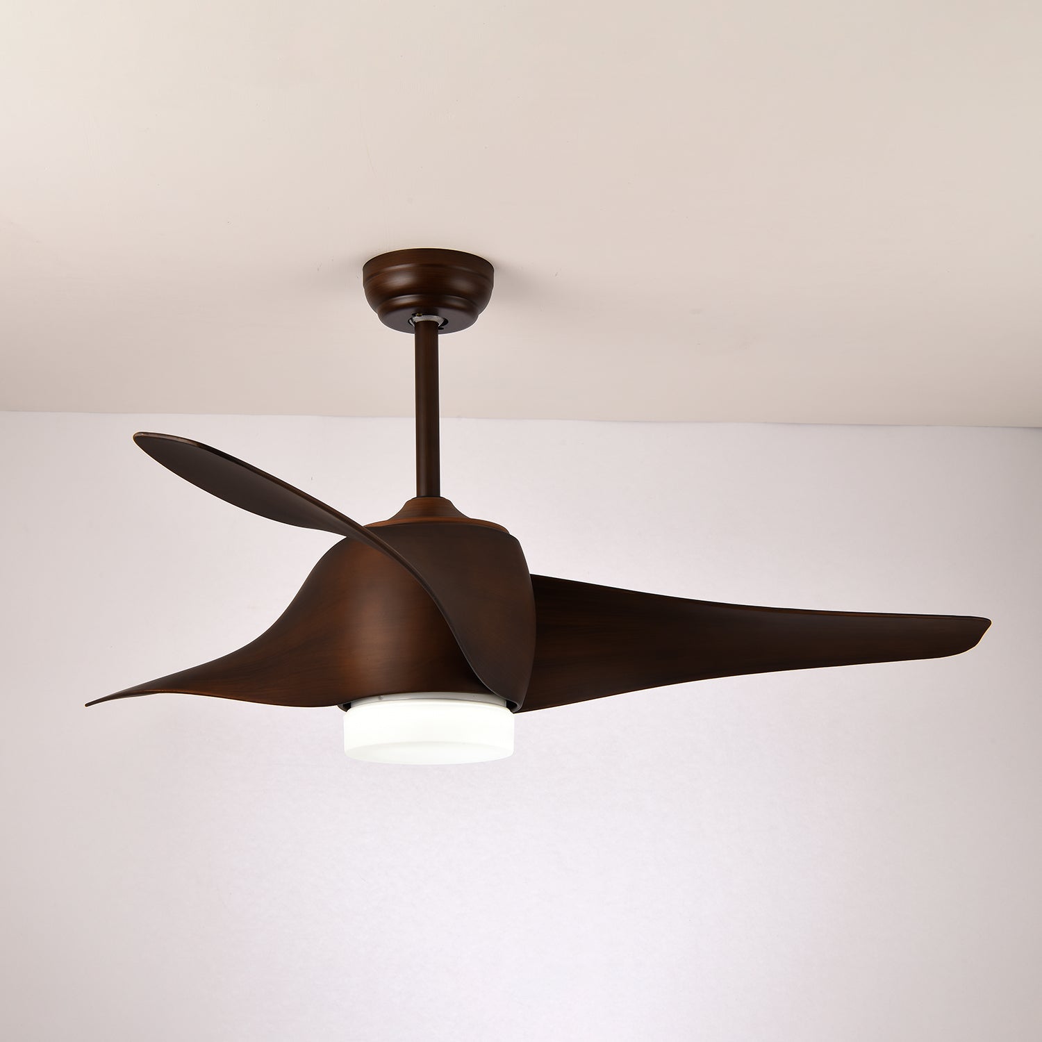 Ziressa Ceiling Fan Light