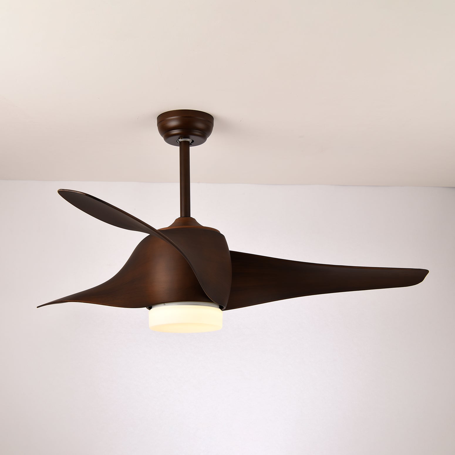 Ziressa Ceiling Fan Light
