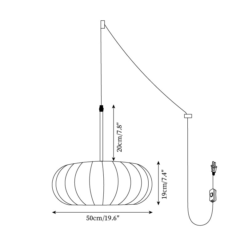 Zeloreve Plug In Pendant Light
