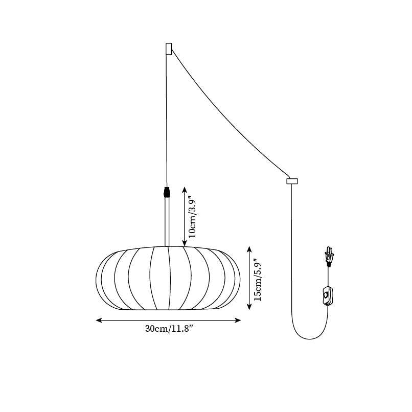 Zeloreve Plug In Pendant Light