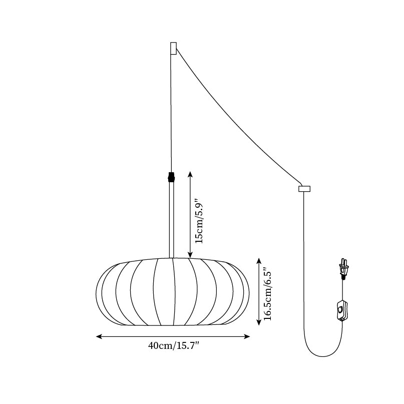 Zeloreve Plug In Pendant Light