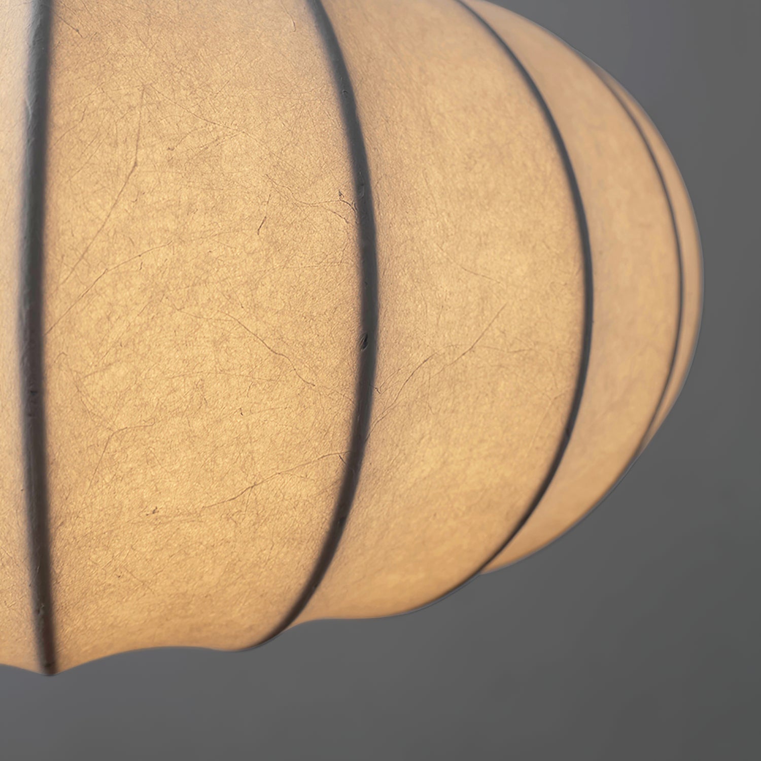 Zeloreve Plug In Pendant Light
