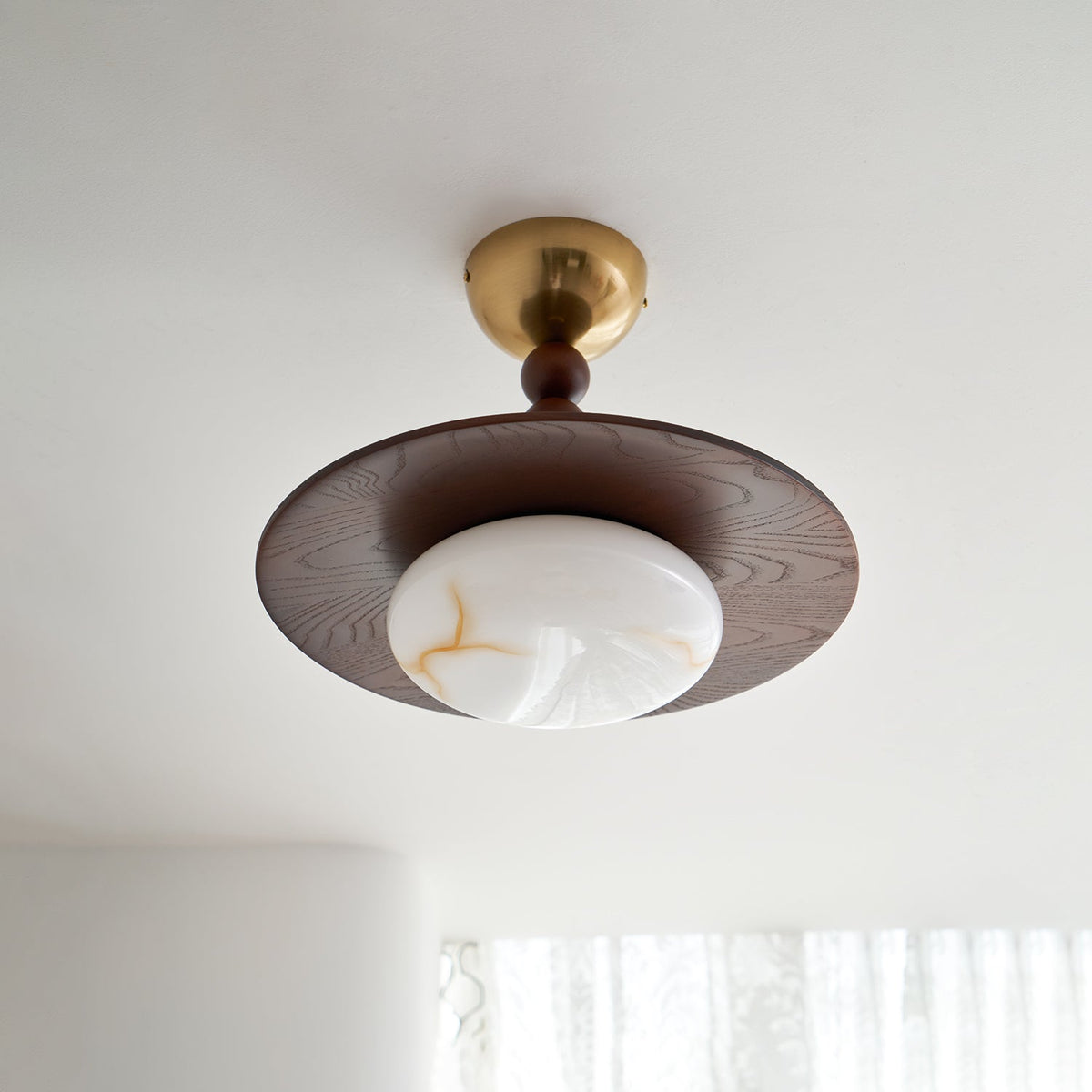 Zapil Outdoor Ceiling Light