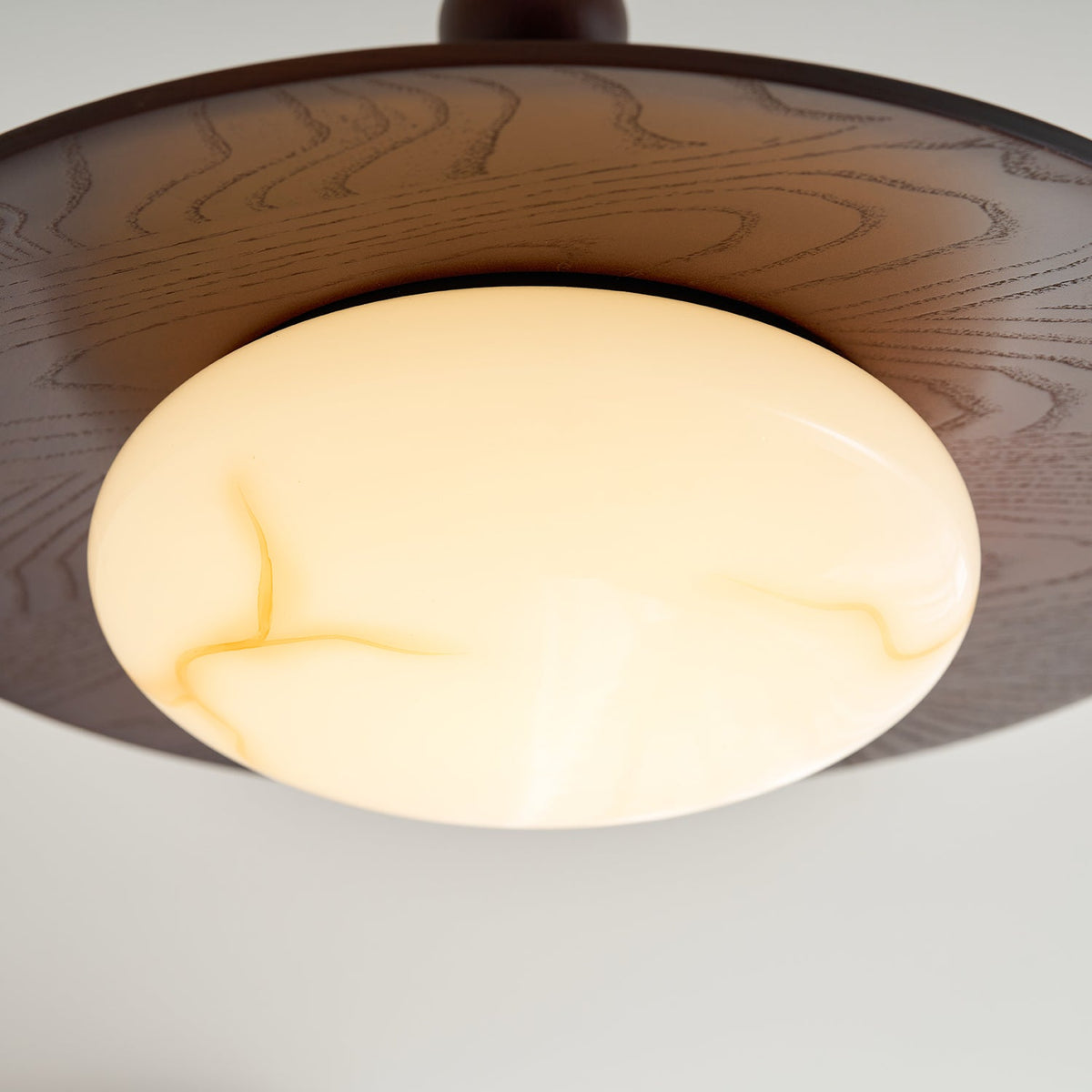 Zapil Outdoor Ceiling Light