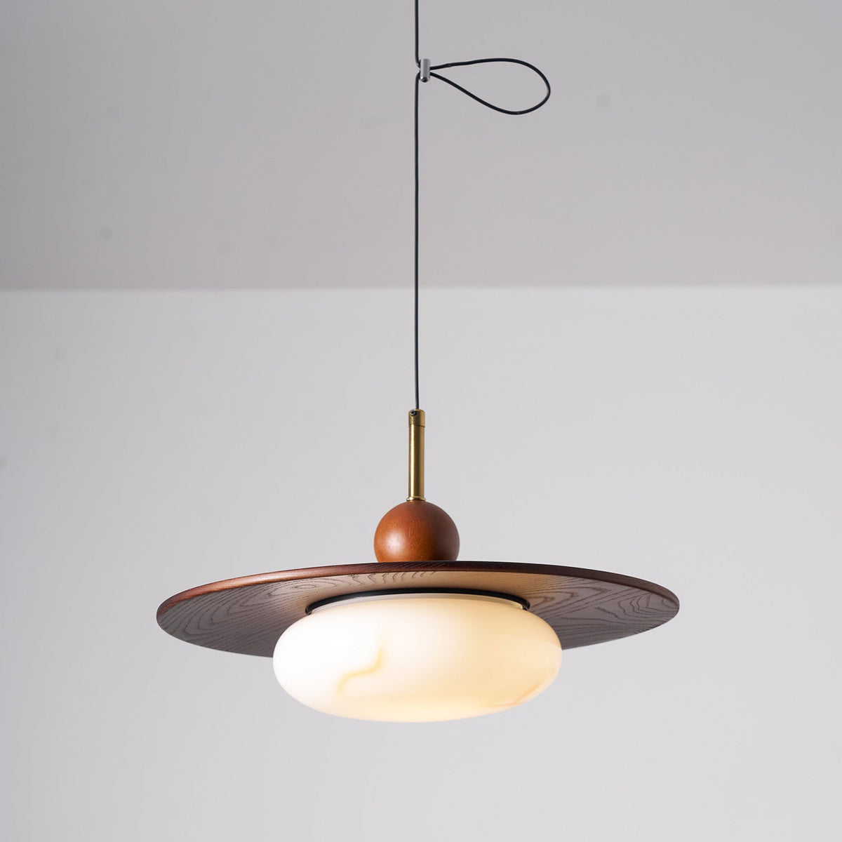 Hebor Adjustable Pendant Light