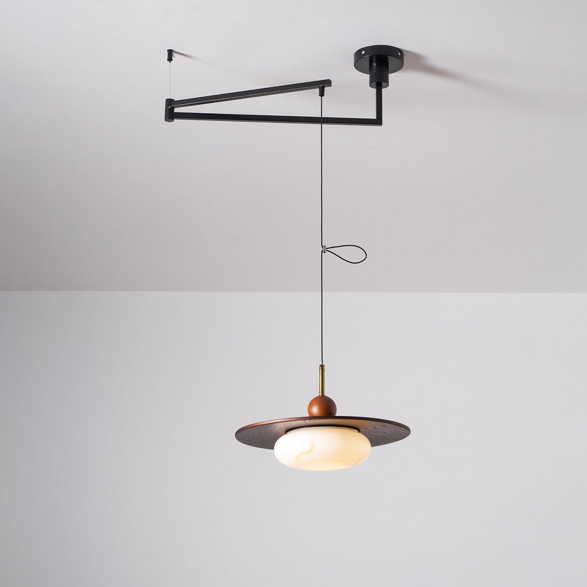 Hebor Adjustable Pendant Light