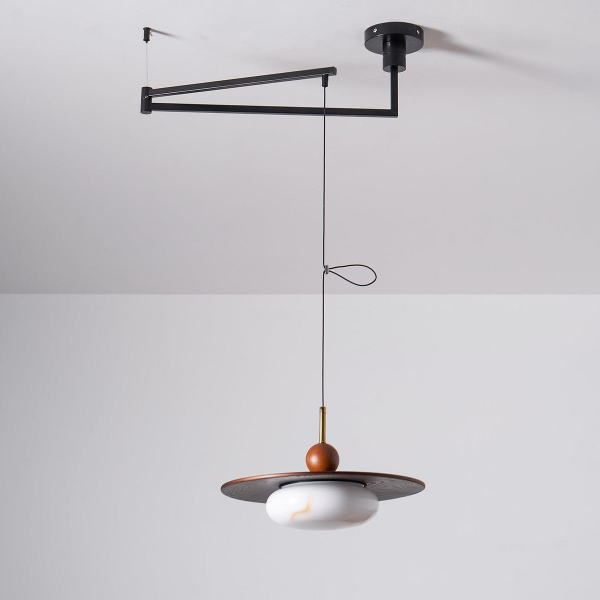 Hebor Adjustable Pendant Light
