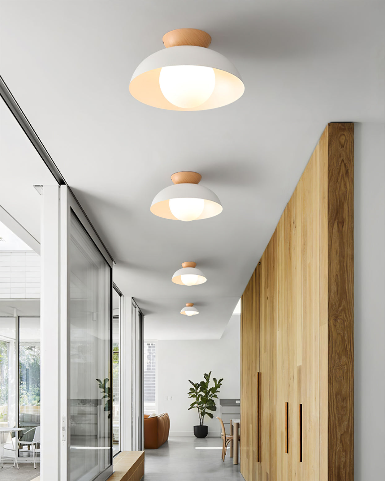 Ararala Modern Ceiling Light