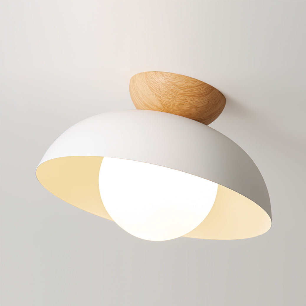 Ararala Modern Ceiling Light