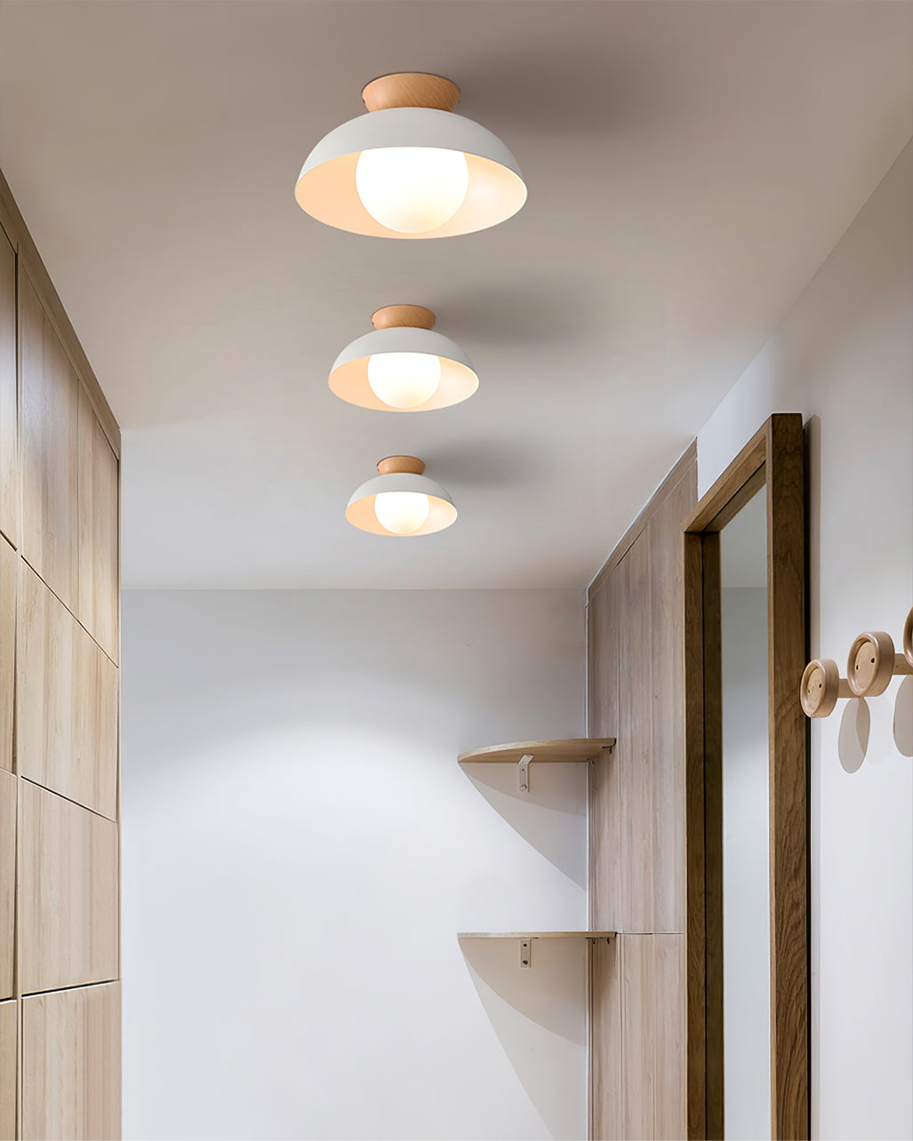 Ararala Modern Ceiling Light