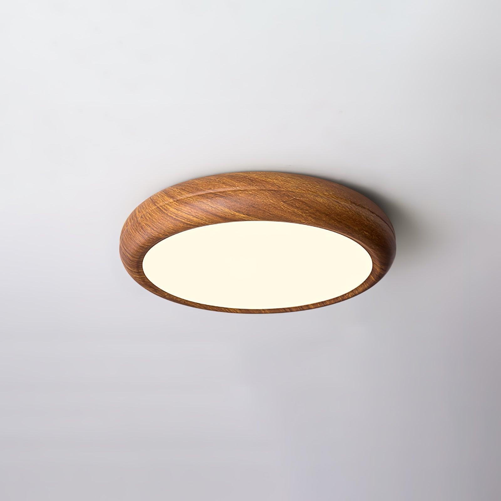 Arralyn Round Ceiling Light