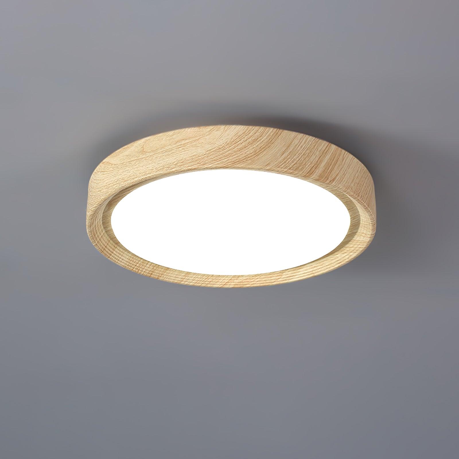 Arralyn Round Ceiling Light