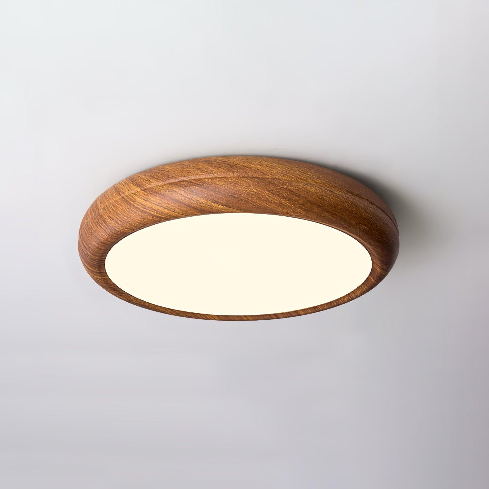 Arralyn Round Ceiling Light