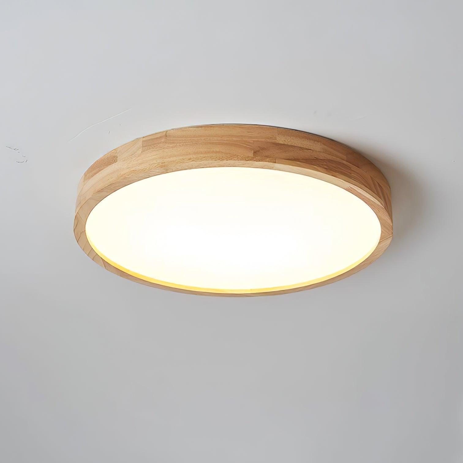 Alerain Geometric Ceiling Light