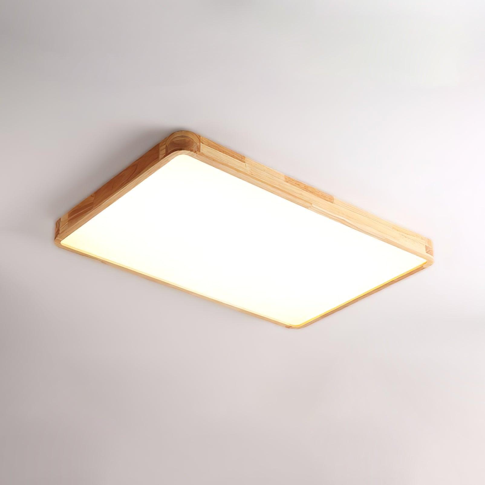 Alerain Geometric Ceiling Light