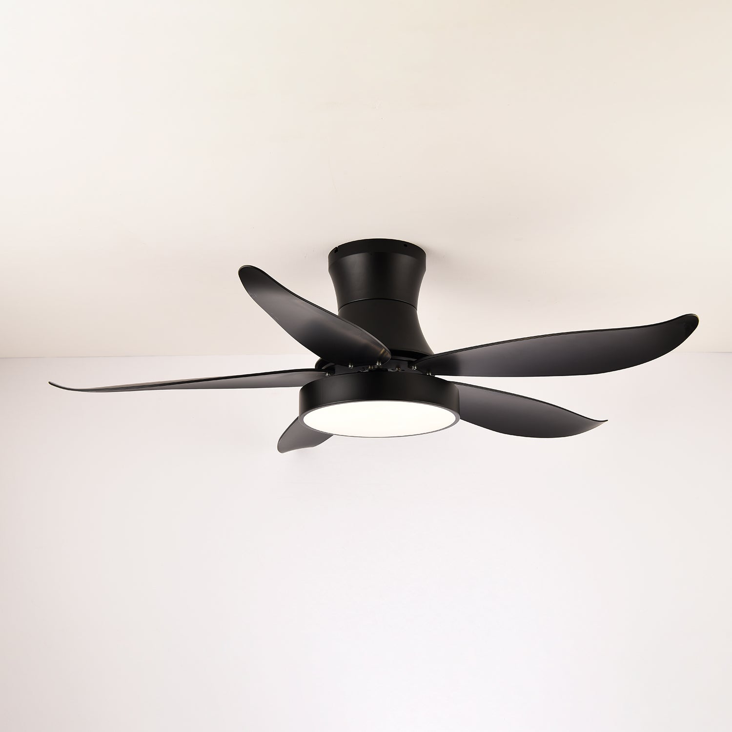 Rozin Modern Ceiling Fan Light