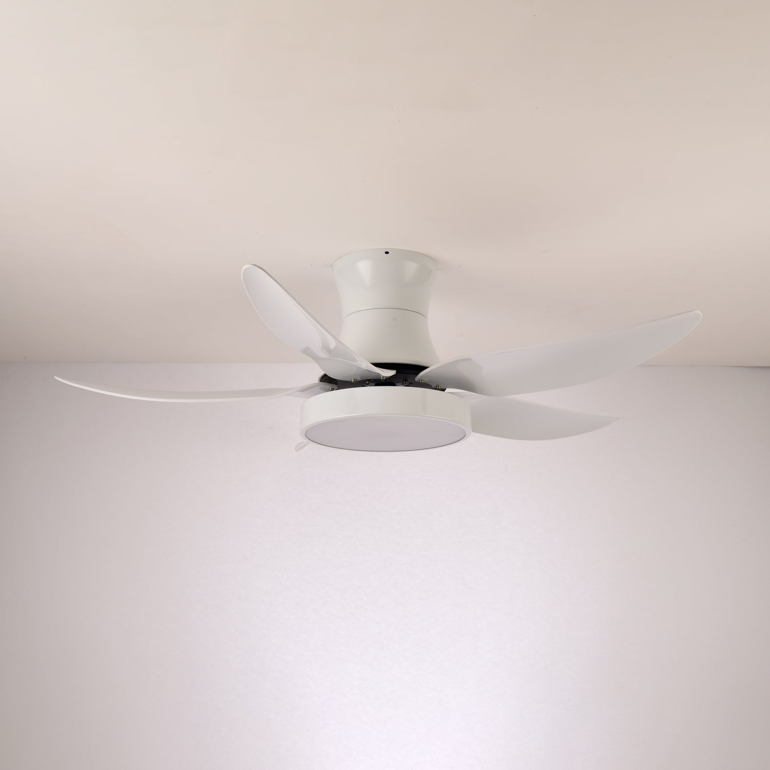 Rozin Modern Ceiling Fan Light