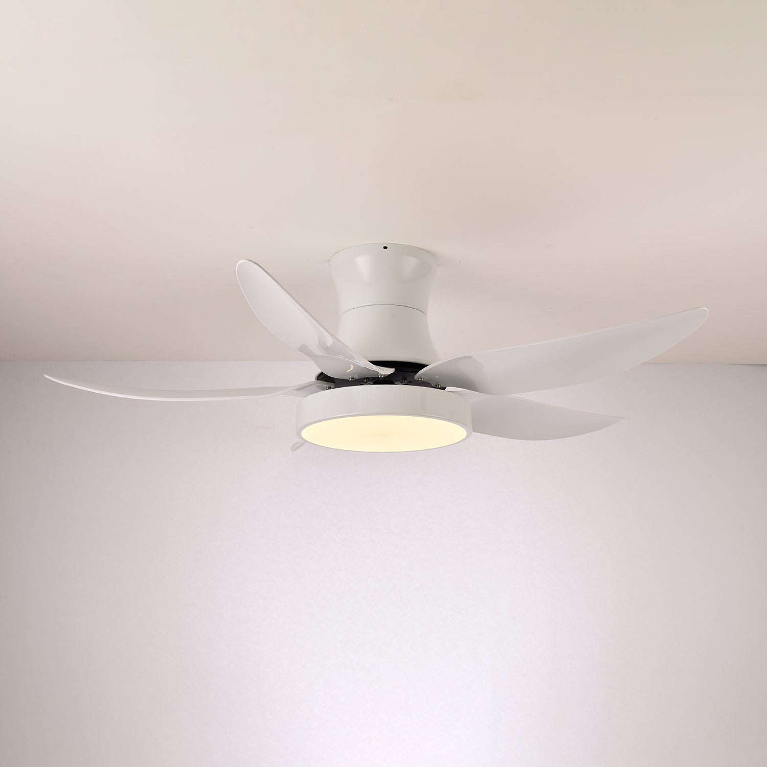 Rozin Modern Ceiling Fan Light