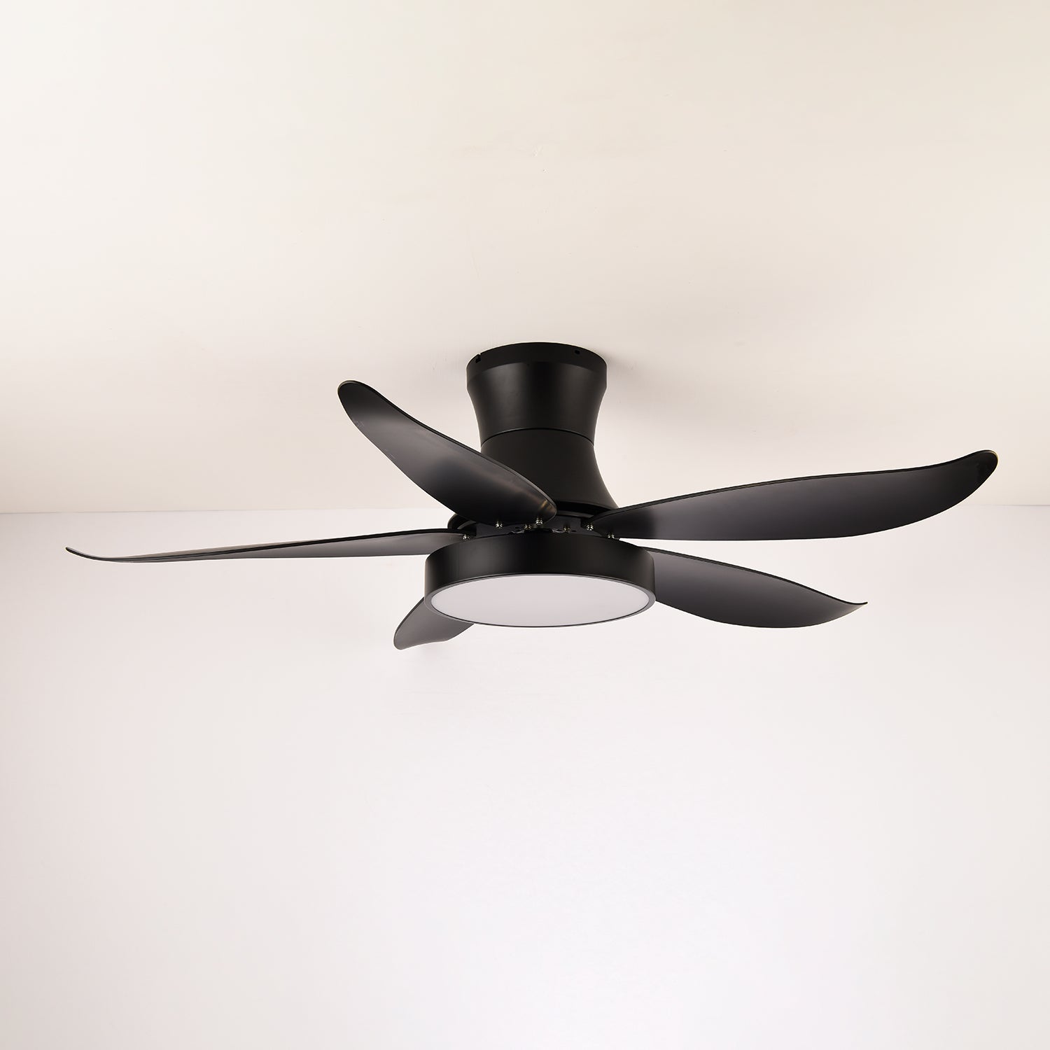 Rozin Modern Ceiling Fan Light