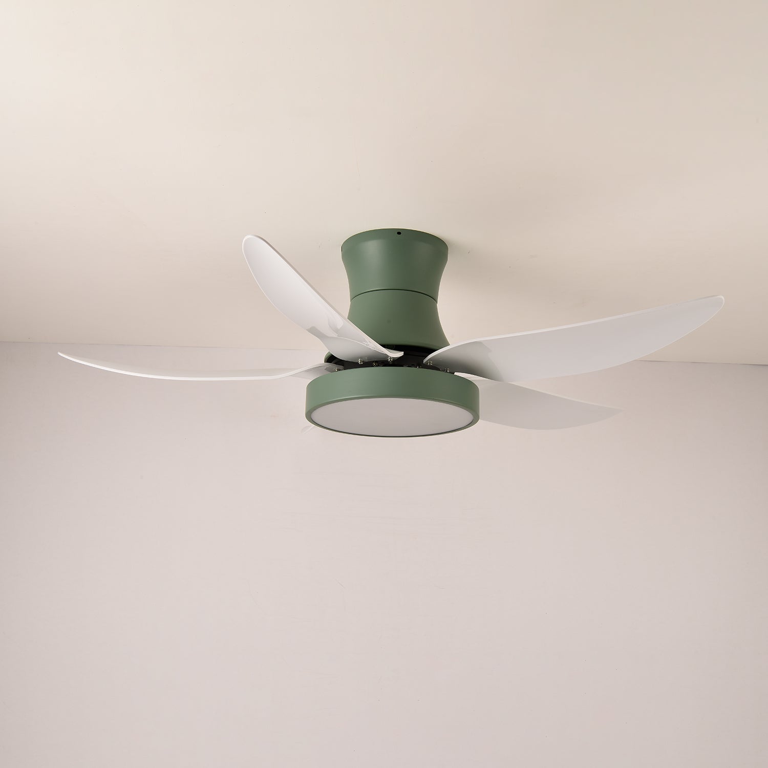 Rozin Modern Ceiling Fan Light