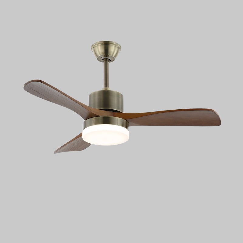Zireva Ceiling Fan Light